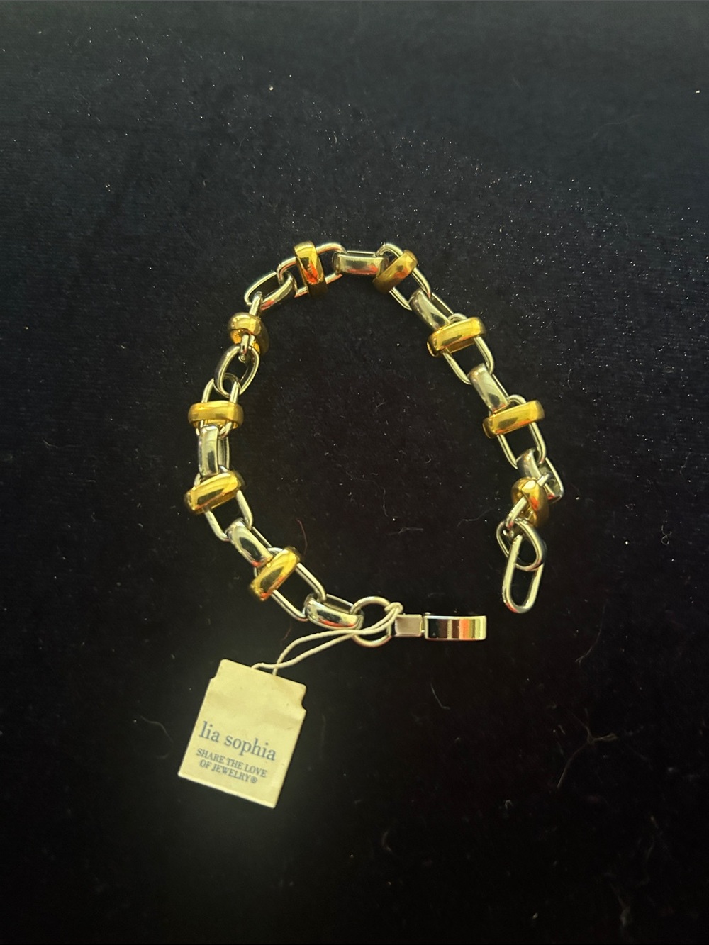 Lia Sophia Two-Tone Gold and Silver Link Bracelet